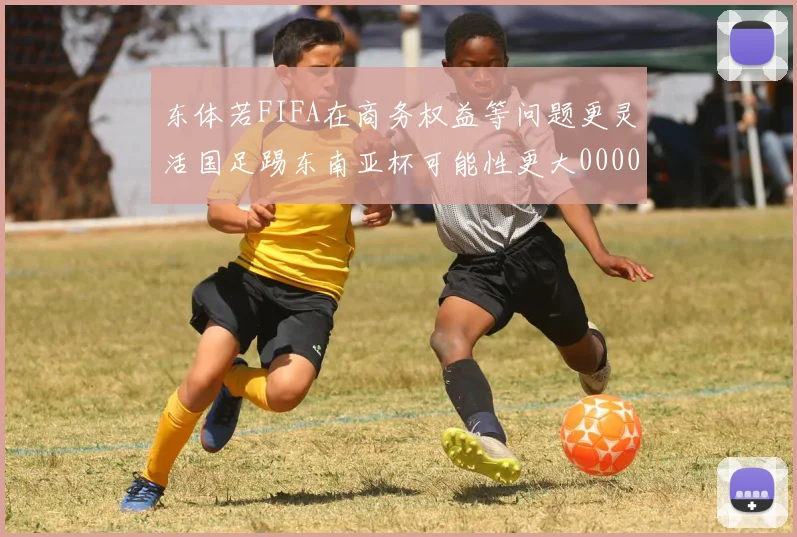 东体若FIFA在商务权益等问题更灵活国足踢东南亚杯可能性更大0000644